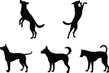 Dog silhouettes, black and white design, various poses, canine motion, pet behavior, animal stance, jumping dogs, standing posture, artistic layout, breed diversity, minimal art