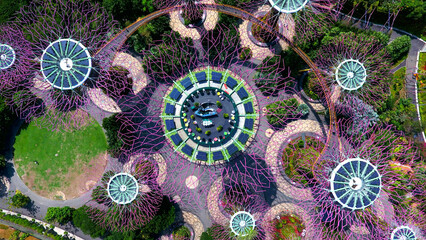 Top down aerial view of Super trees and the distinctive floral architecture in Gardens by the Bay, Singapore, with purple walkways