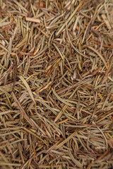Top view of dehydrated thyme leaves on white background”