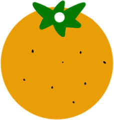 illustration of orange fruit
