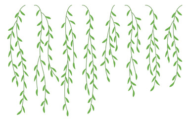 Willow tree branch vector set, green hanging leaves illustration in flat cartoon style  © Nicole Lucida