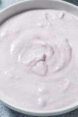 Healthy Homemade Blueberry Yogurt