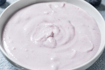 Healthy Homemade Blueberry Yogurt