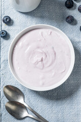 Healthy Homemade Blueberry Yogurt