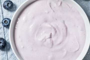 Healthy Homemade Blueberry Yogurt