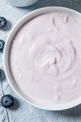 Healthy Homemade Blueberry Yogurt