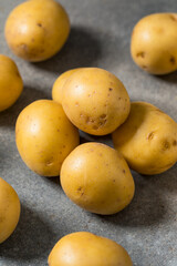 Organic Raw Yellow Potatoes