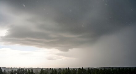 Stormy landscape featuring moody skies over a dense forest skyline
