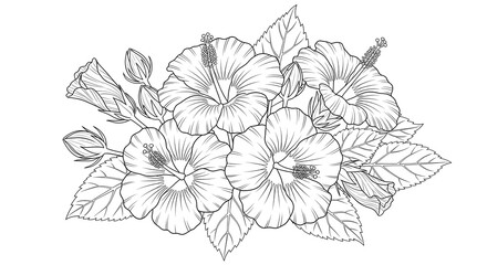 Detailed Hibiscus Flowers and Buds Line Art