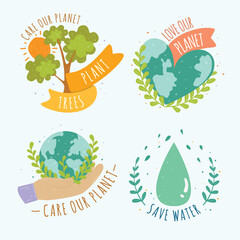 Flat Ski  Snow Badge Collection