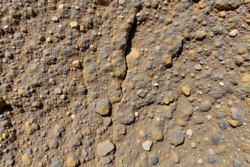 Outdoor Climbing Wall Rock Face Detail Detailed close up of a natural rock climbing face, showcasing intricate textures, weathered cracks, and organic geological formations. Natural sunlight casting
