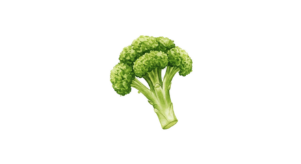 Green Broccoli Isolated Fresh Healthy Vegetable Realistic 3D Render on Light Green Background