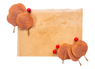 old paper with red cherry and dry leaves isolated on white
