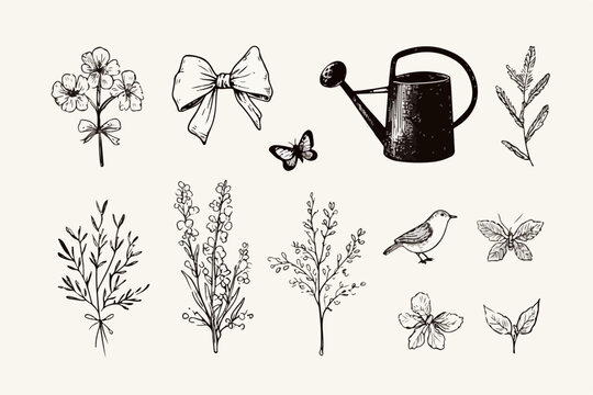 Dieses Vektor-Set präsentiert eine charmante Sammlung handgezeichneter botanischer und natürlicher Elemente im Vintage-Stil, ideal für kreative Designs.