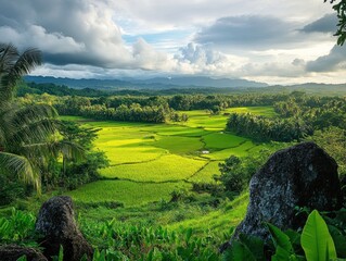 Lush rice paddies stretch across a valley, framed by tropical vegetation and mountains
