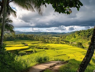 Lush rice paddies, framed by tropical foliage and dramatic clouds