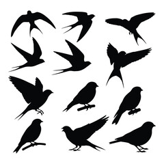 Obraz premium Birds in flight and perched silhouettes on a white background collection
