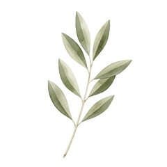 Isolated Olive Branch With Green Leaves On Soft Beige Background Detailed Realistic Photo
