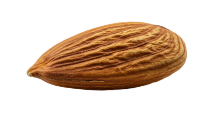 Macro Almond Seed Realistic Photo Transparent Background