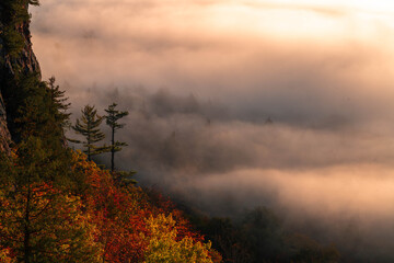 morning fog over fall colorful forest