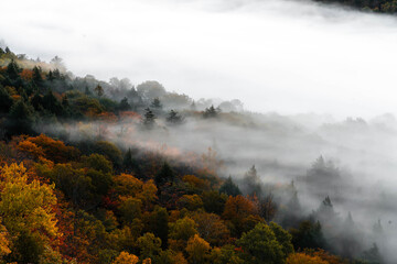 Beautiful misty morning in the fall mountains