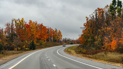 Highway in autumn forest