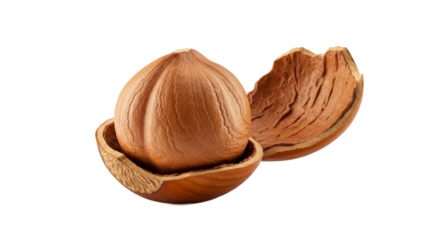 Macro Realistic Hazelnut Shell Cracked Open Brown Background Studio Lighting