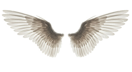 Fototapeta premium Majestic White Angel Wings Realistic Photo Soft Light Background