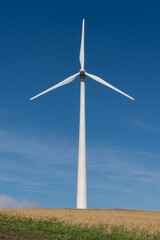wind turbine in the field