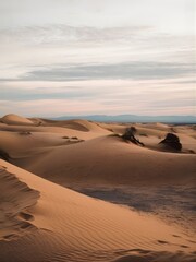 Golden Desert Sand Dunes with Textured Curves Under Pastel Sky