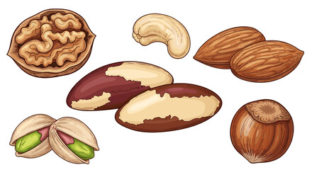 Assorted Nuts Platter for Healthy Snacking in a Nutritious Lifestyle, Delicious and Wholesome Gourmet Ingredients, Perfect for Vegan Diets, Raw Food and Culinary Art Presentations, Brown Tone Illustra