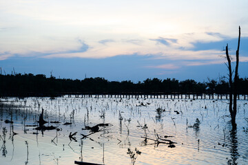 Sunset sky clouds in the Evening with Golden orange sunlight in golden hour, Dusk sky background