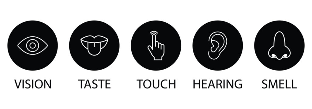 Five human senses editable stroke outline icons set. Flat vector illustration of human senses including ear, eye, nose, lips, and hand in minimalist design style. Vector illustration eps 10. 