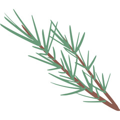 A Detailed Illustration of a Single Pine Branch with Green Needles and Brown Stems Against a Transparent Background