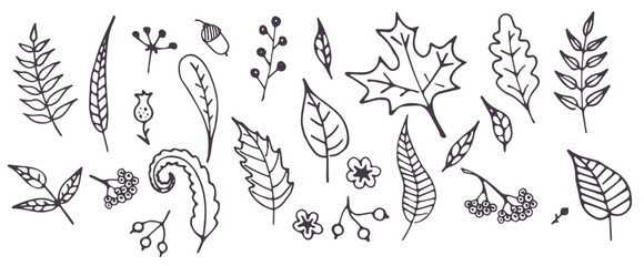 set of doodle leaves and berries black and white hand drawn vector