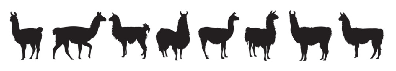 Fototapeta premium set of llama silhouettes