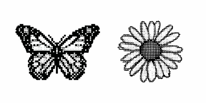 Wektorowa ilustracja motyla i stokrotki przedstawiona na białym tle idealna do projekt&oacute;w graficznych i edukacyjnych.