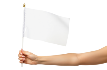 Hand holding small white flag waving isolated PNG with Transparent Background