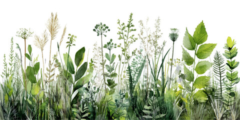 Soft watercolor painting of lush greenery and delicate wildflowers in a field isolated on transparent background