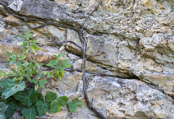 The structure of natural rock formations in a mountainous area is suitable for background...