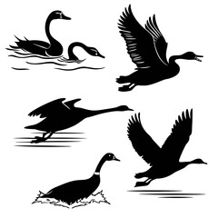 Black silhouette geese and swans in various poses goose ©  MST RABEYA  BEGUM