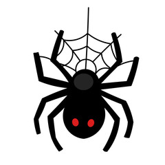 spider on a white background