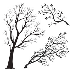 Black silhouette trees and branches with leaves on white
