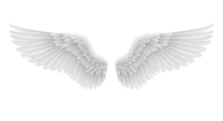 Fototapeta premium Realistic White Feathered Angel Wings Isolated