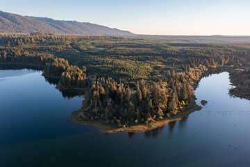 Aerial drone picture of Quinault Lake in Olympic National Park, Washington State, USA, showing golden autumn sunset light over calm blue water surrounded by evergreen forests, fall mountain landscape	
