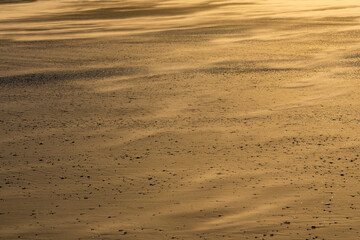 Wind blowing sand across beach in soft morning light