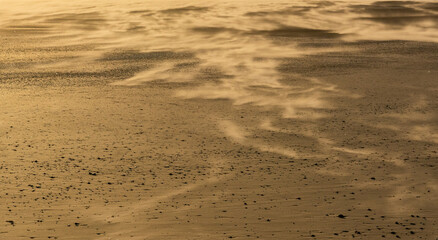 Wind blowing sand across beach in soft morning light