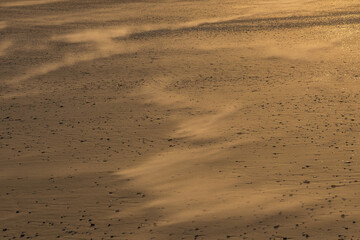 Wind blowing sand across beach in soft morning light
