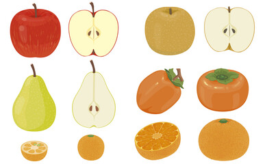 果物イラスト （りんご、梨、柿、みかん）