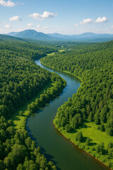 Obraz premium Aerial View of River Flowing Through Dense Green Forest — Scenic Nature and Environment Background